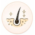 抗脫系列