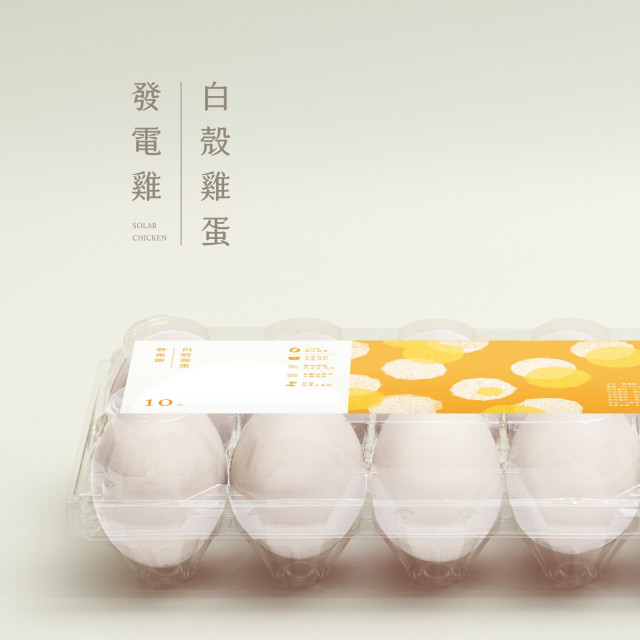 發電雞白殼雞蛋-日常營養配方60顆